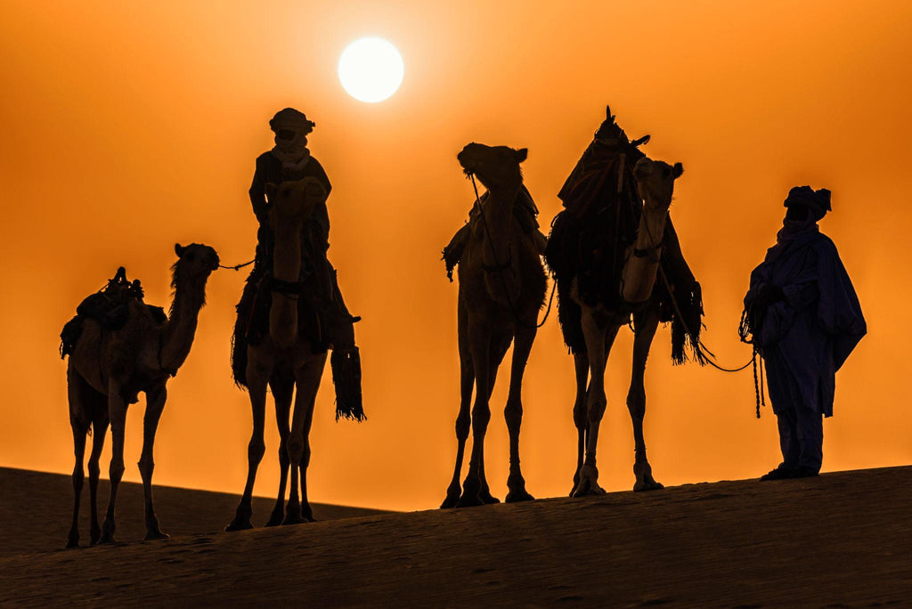 🇩🇿 🏜️ Tamanrasset · Sahara · Tuareg | Algeria | Daylite Digital