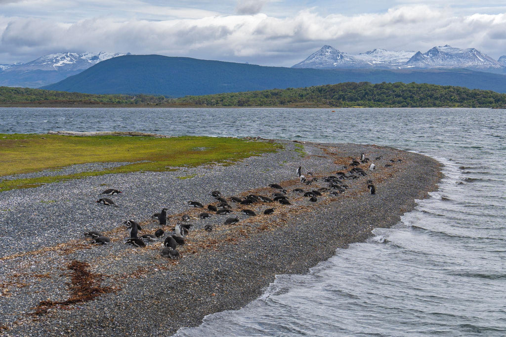 🇦🇷 🐧 Ushuaia · Patagonia · End of the World | 7 Days