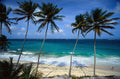 🇧🇧 🍹 Barbados · Bridgetown, Rum & the Crystal Water Coast · 8 Days