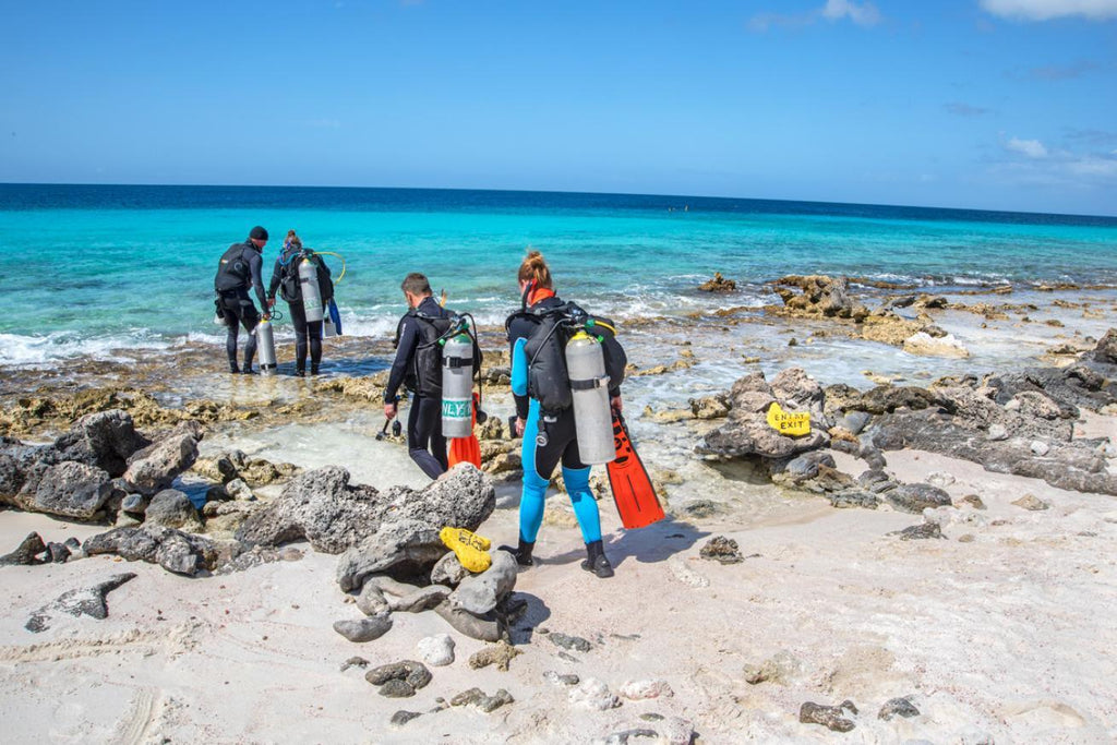 🇧🇶 🌊 Bonaire · Shore Diving, Flamingo Sanctuary & the ABC Island Caribbean Circuit · 5 Days