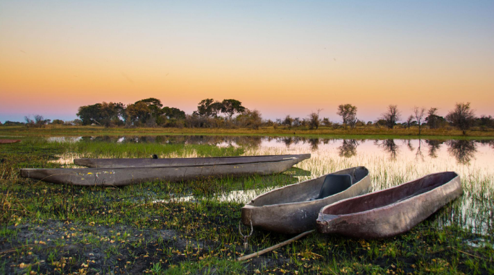 🇧🇼🇳🇦 Botswana & Namibia Safari — 14 Days | Daylite Digital