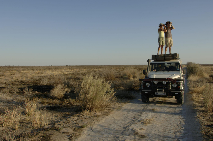 🇧🇼 🌊 Botswana & Victoria Falls Safari — 13 Days | Daylite Digital