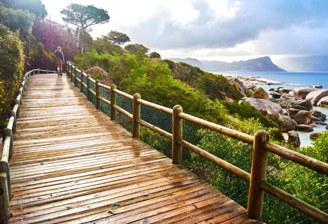 🇿🇦 🐧 Boulders Beach Penguin & Cape Coast Explorer — South Africa | Daylite Digital