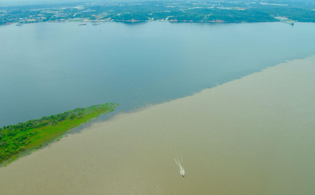 🇧🇷 🌳 Manaus · Amazon River Expedition | 10 Days | Brazil