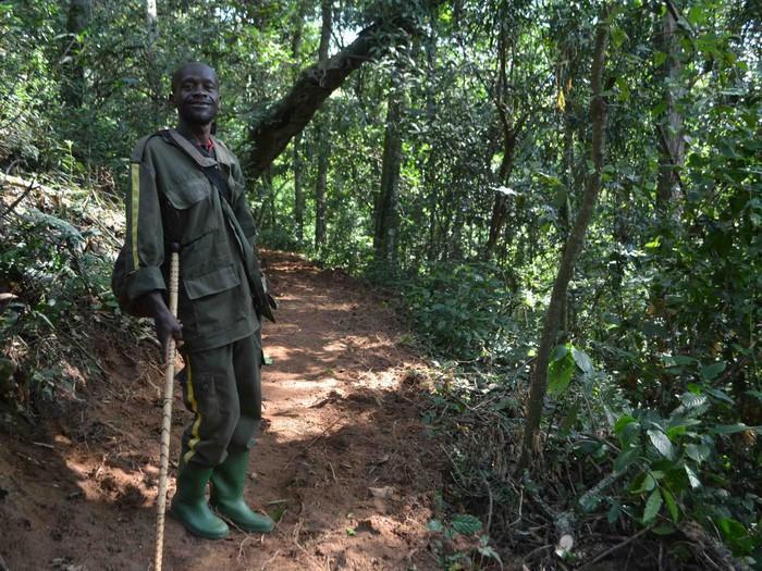 🇧🇮 🌊 Bujumbura · Lake Tanganyika · Kibira Forest Explorer | Burundi | Daylite Digital