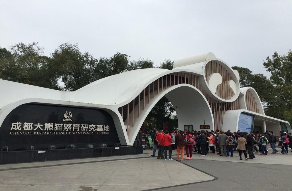 🇨🇳 🐼 Chengdu - Pandas, Sichuan Fire & Tibetan Borders China - 10 Days