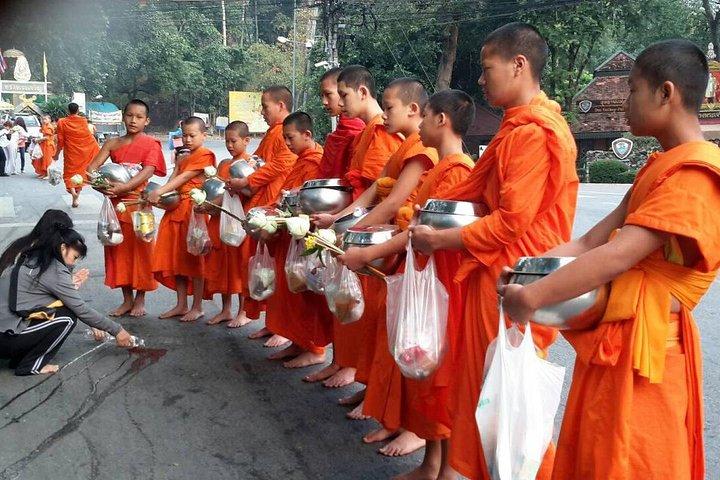 🇹🇭 🛵 Chiang Mai: Elephants, Monks & Northern Hill Tribes, Thailand — 10 Days
