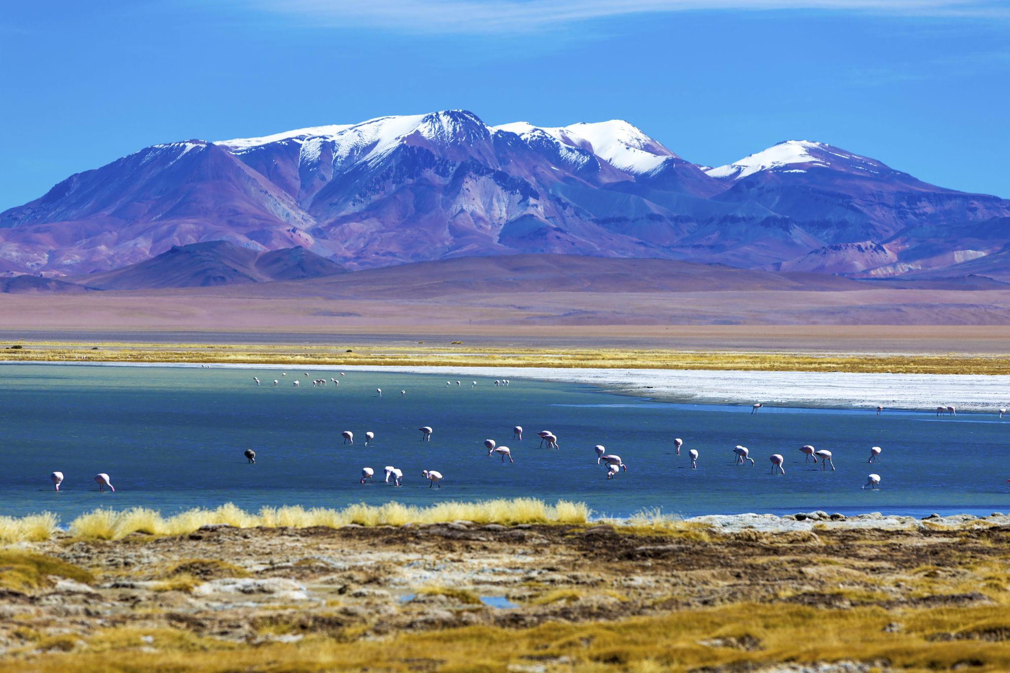 🇨🇱 🏙️ Chile · Santiago · Atacama · Patagonia · 9 Days