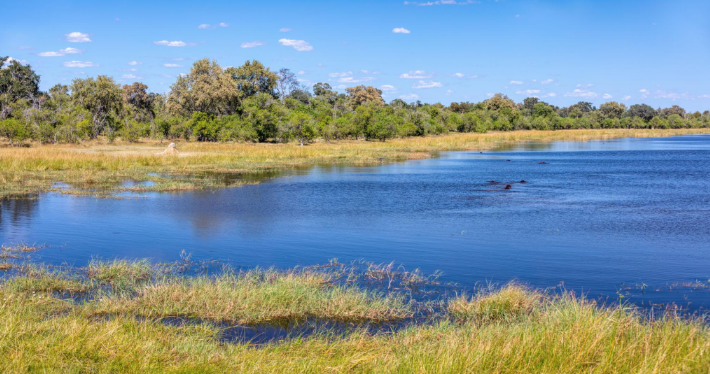 🇧🇼 🐘 Complete Northern Botswana Safari — 12 Days | Daylite Digital