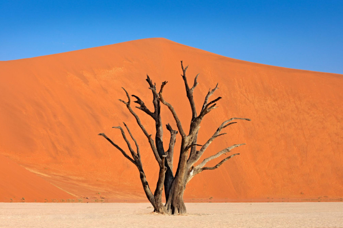🇧🇼🇳🇦 Botswana & Namibia Safari — 14 Days | Daylite Digital