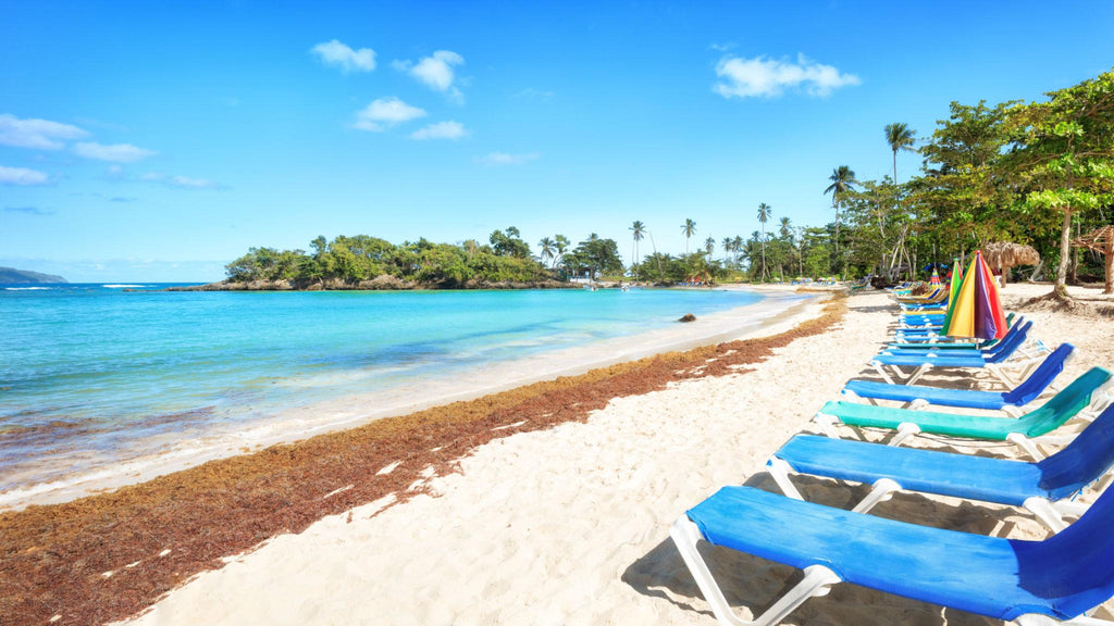 🇩🇴 🎶 Dominican Republic · Santo Domingo, Merengue & the Adventure Coast · 8 Days
