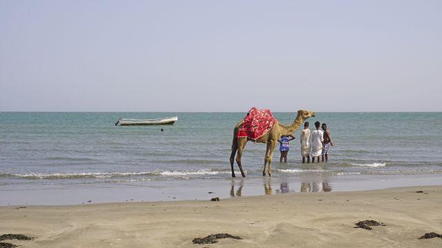 🇪🇷 🏙️ Asmara · Massawa · Danakil Depression · Red Sea Safari | Eritrea | Daylite Digital