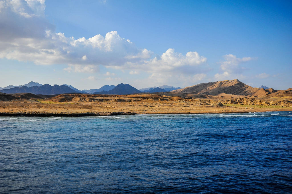 🇪🇬 ⛰️ Alexandria · Sinai · Red Sea Safari — Egypt | Daylite Digital