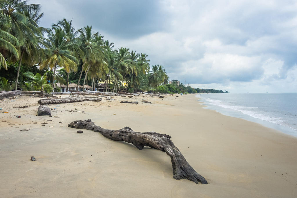 🇬🇦 🐘 Libreville · Lopé National Park · Forest Elephant Safari · Gabon · 8 Days