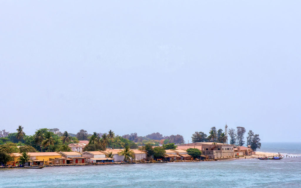 🇬🇲 🎵 Banjul · Bakau · Atlantic Coast Safari | The Gambia | Daylite Digital