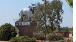 🇳🇦 🌵 Kalahari & Eastern Gobabis — Red Sand Safari Expedition | Daylite Digital