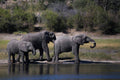 🇨🇮 🐘 Abidjan · Grand-Bassam · Comö National Park | Côte d'Ivoire | Daylite Digital