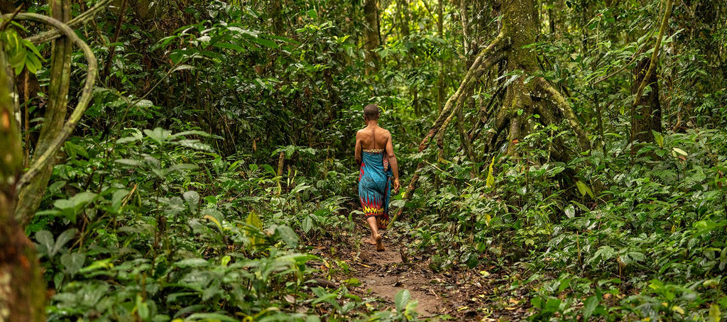 🇨🇲 🌳 Yaoundé · Dja Faunal Reserve · Baka Forest | Cameroon | Daylite Digital