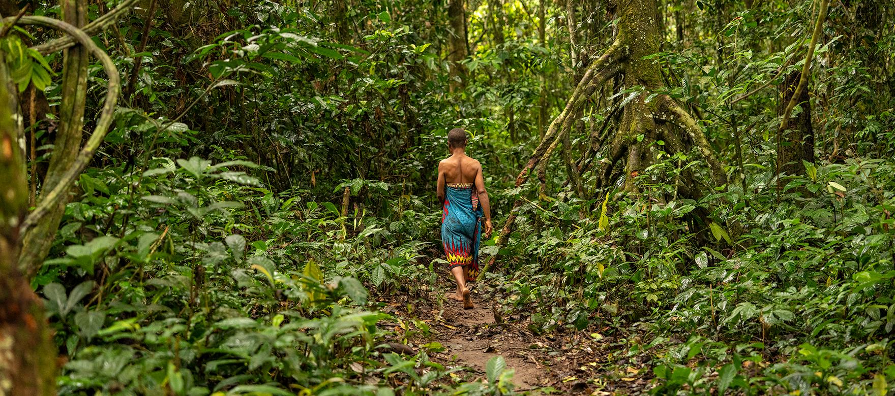 🇨🇲 🏜️ Waza · Far North · Sahel | Cameroon | Daylite Digital