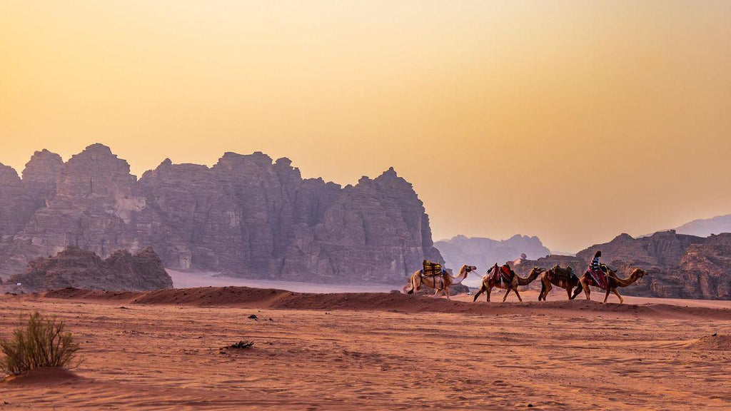 🇯🇴 🏛️ Petra, Wadi Rum & The Dead Sea, Jordan · 9 Days