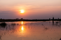 🇧🇼 🐘 Botswana Desert & Delta Explorer — 10 Days | Daylite Digital