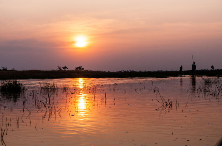 🇧🇼 🐘 Botswana Desert & Delta Explorer — 10 Days | Daylite Digital