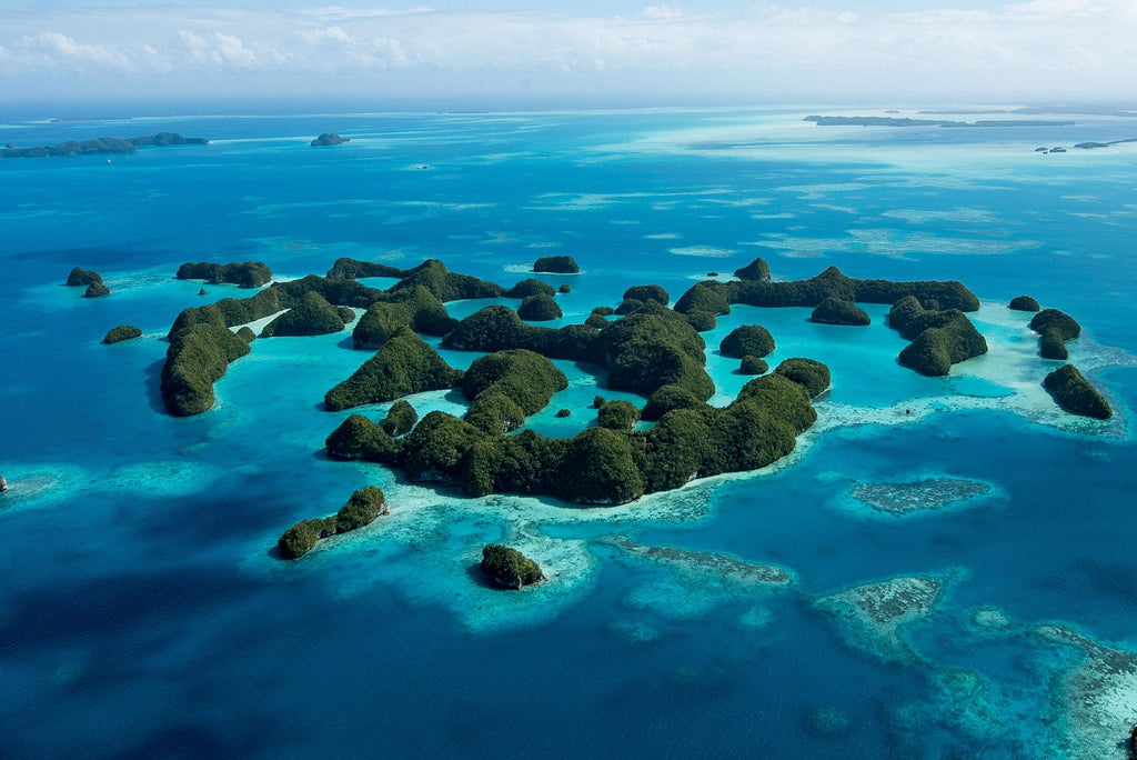 🇵🇼 Koror, Rock Islands & the World's Greatest Marine Sanctuary, Palau — 9 Days