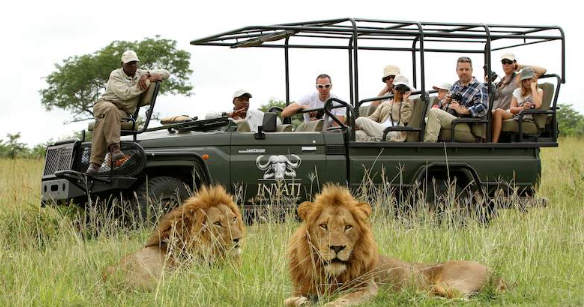 🇿🇦 🦁 Kruger Safari Adventure — South Africa | Daylite Digital
