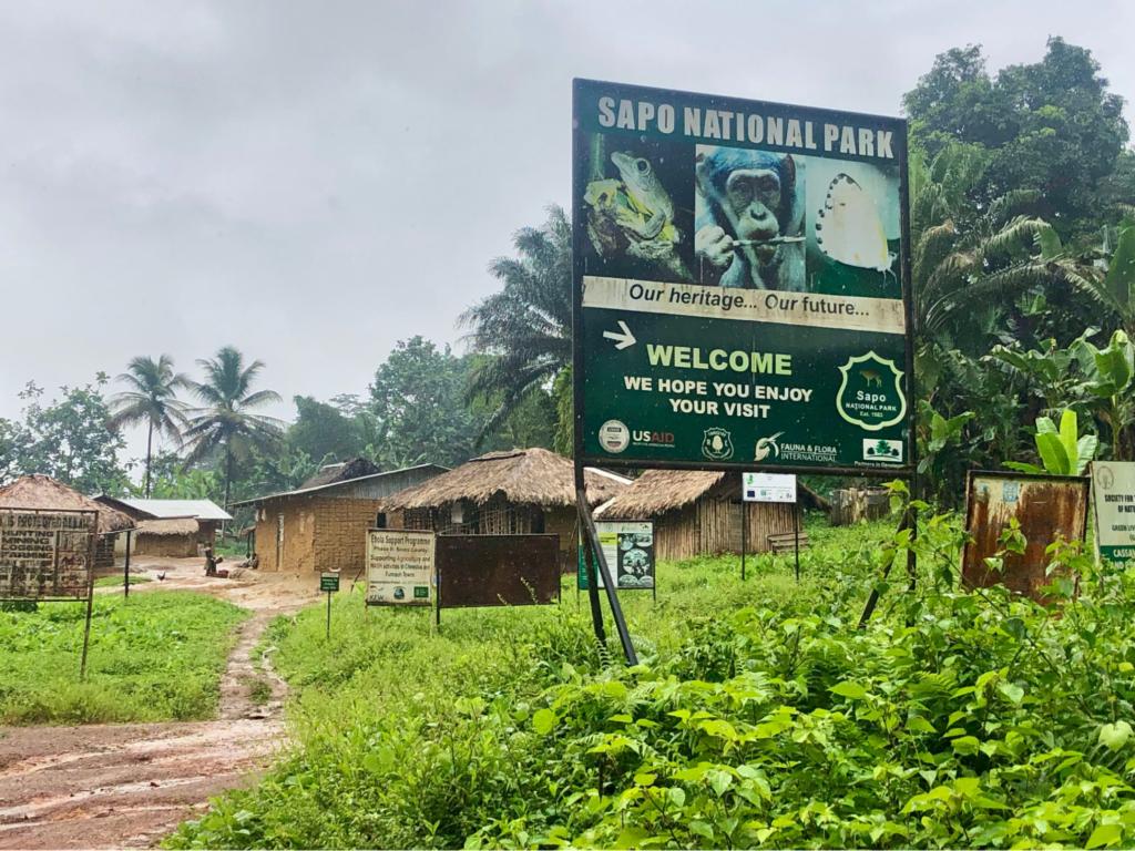 🇱🇷 🦛 Monrovia · Sapo National Park · Rainforest Safari · Liberia · 8 Days