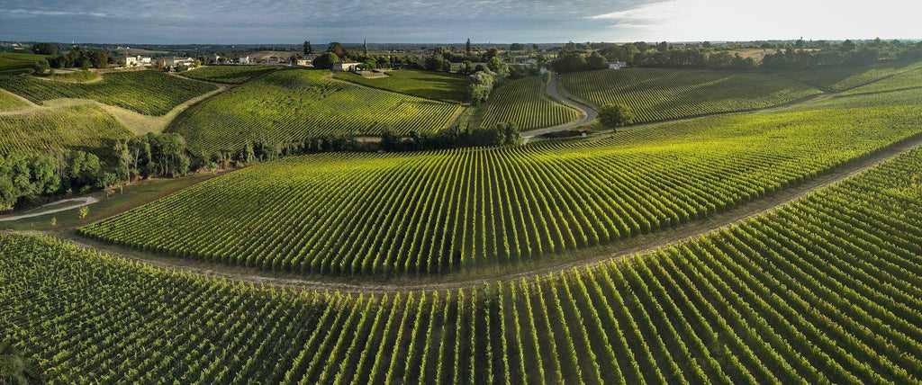 🇫🇷 🏰 Loire Valley, Bordeaux & Burgundy, France — 10 Days