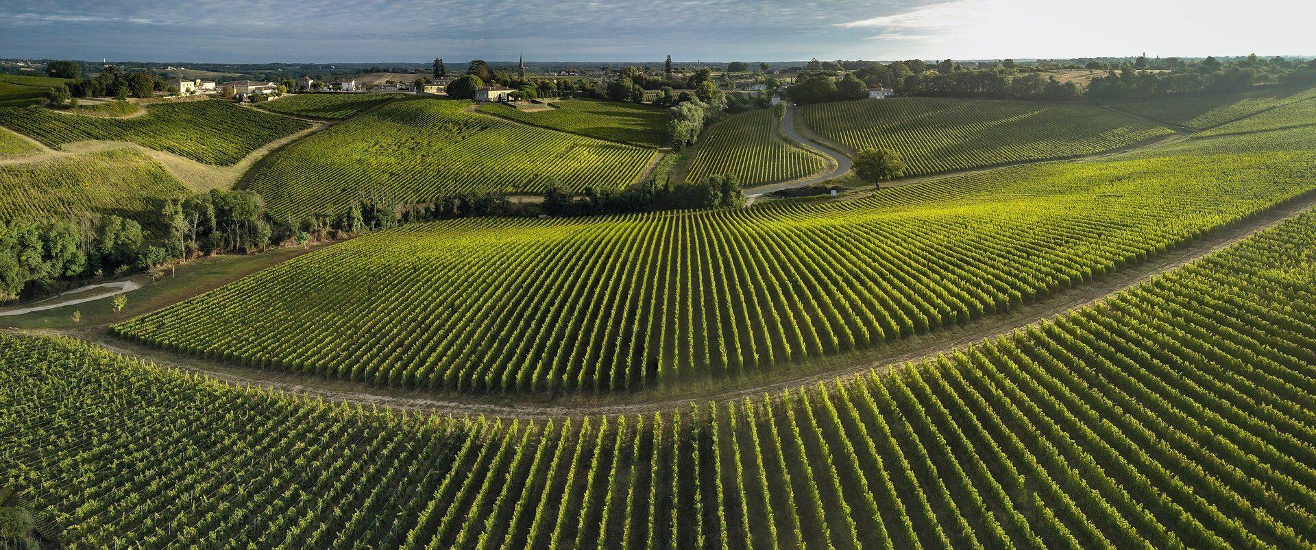 🇫🇷 🏰 Loire Valley, Bordeaux & Burgundy, France — 10 Days