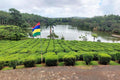🇲🇺 🍵 Mauritius Culture · Tea Estates · Black River Gorges — Daylite Digital