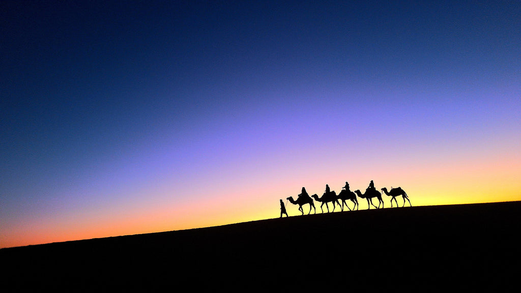 🇲🇦 🎪 Marrakech · Fes · Sahara Safari — Morocco | Daylite Digital