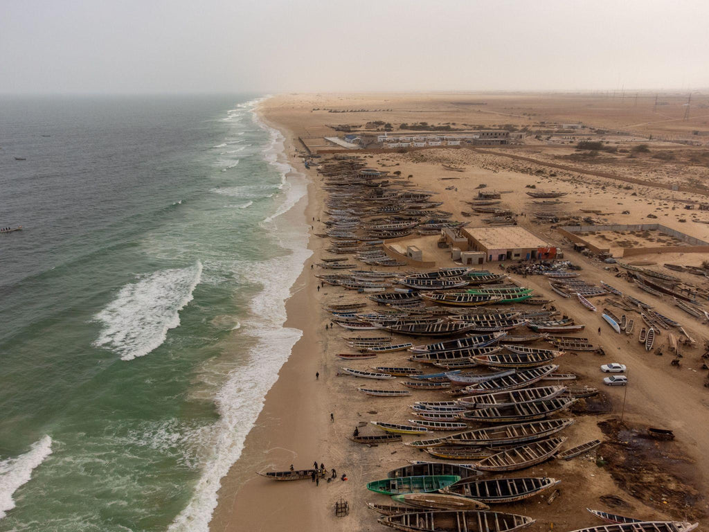 🇲🇷 🐬 Nouakchott · Banc d'Arguin · Atlantic Desert Safari · Mauritania · 8 Days