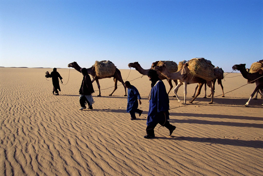 🇲🇷 📜 Chinguetti · Sahara Desert · Ancient Library City Safari | Mauritania | Daylite Digital