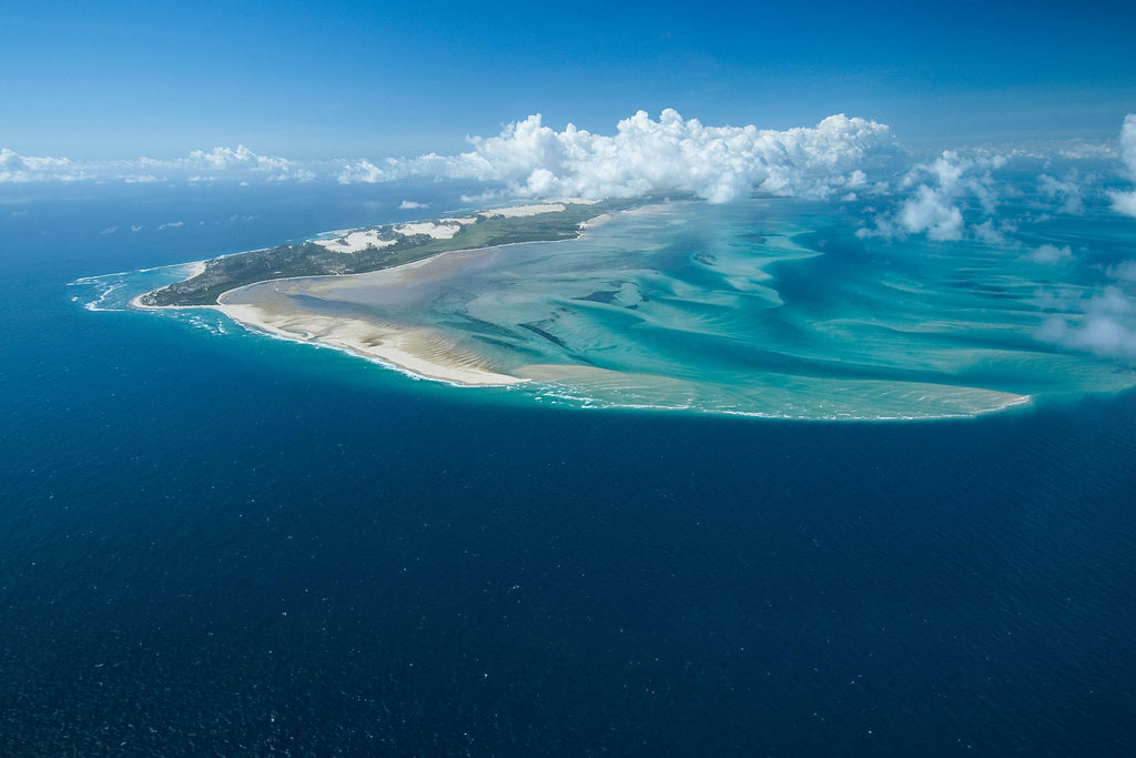 🇲🇿 🐬 Mozambique Bazaruto Archipelago · Dugong Safari — Daylite Digital