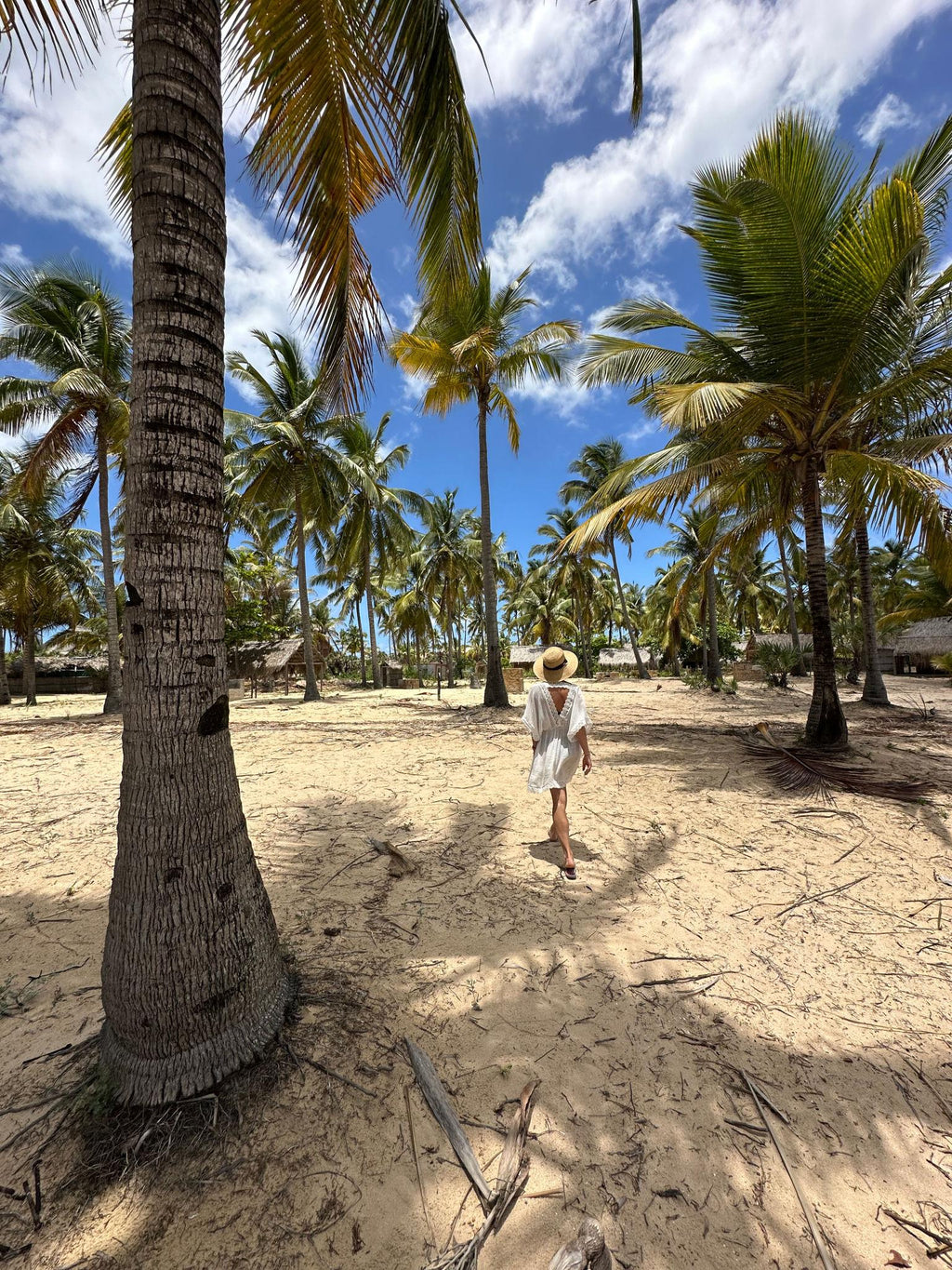 🇲🇿 🌊 Mozambique Ilha de Moçambique · Tofo Beach — Daylite Digital