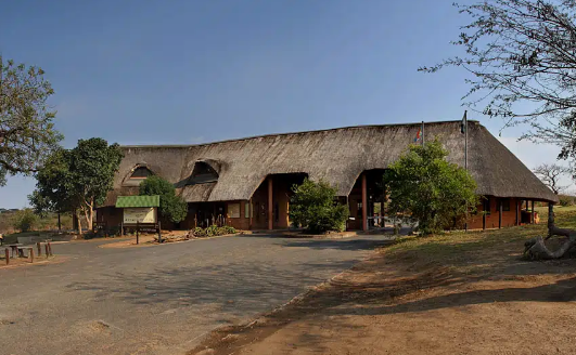 🇿🇦 🦁 Hluhluwe-iMfolozi Safari — South Africa | Daylite Digital