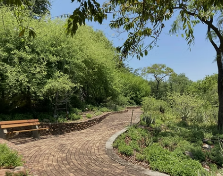 🇿🇦 🏙️ Mbombela (Nelspruit) Safari Adventure — South Africa | Daylite Digital