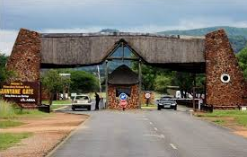 🇿🇦 🦓 Pilanesberg Safari — South Africa | Daylite Digital