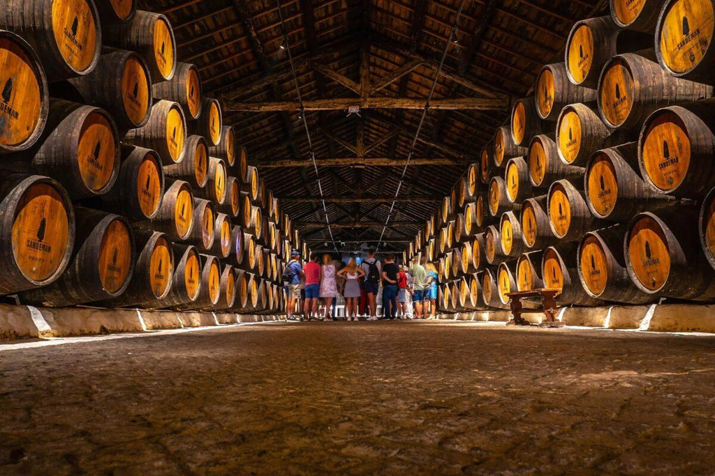 🇵🇹 🍷 Porto, Douro Valley & the Atlantic North, Portugal — 10 Days