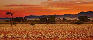 🇳🇦 🌵 Kalahari & Eastern Gobabis — Red Sand Safari Expedition | Daylite Digital