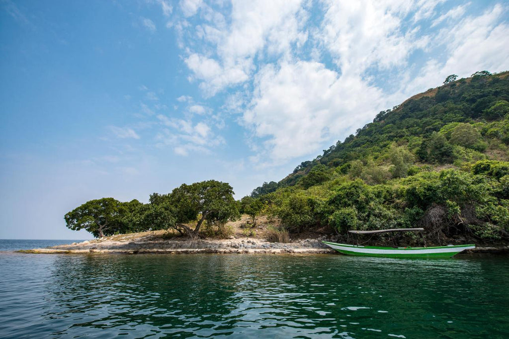 🇷🇼 🏙️ Kigali · Lake Kivu · Nyungwe Forest — Rwanda | Daylite Digital