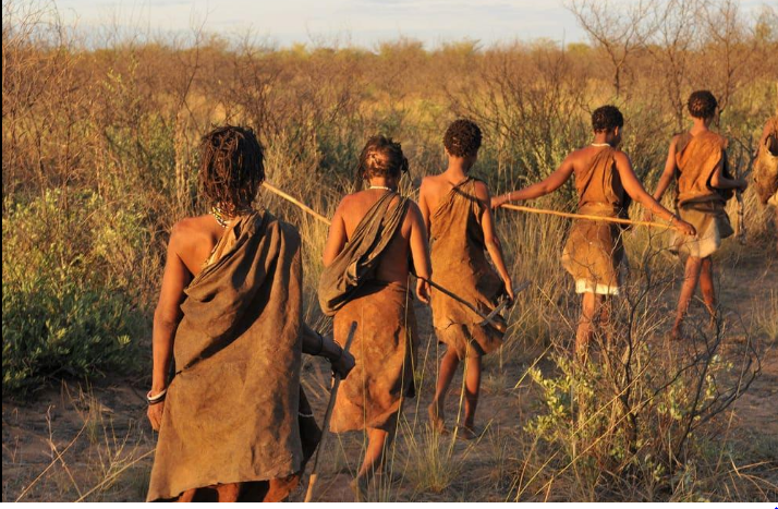 🇧🇼 🐘 Botswana Desert & Delta Explorer — 10 Days | Daylite Digital