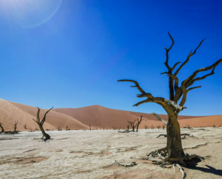 🇳🇦 🏜️ Kalahari, Warmbad Ai-Ais & Sossusvlei — Desert Explorer Namibia | Daylite Digital