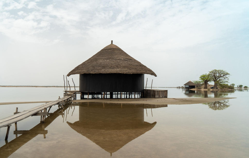 🇸🇳 🌳 Casamance · Sine-Saloum Delta · Wildlife Safari | Senegal | Daylite Digital