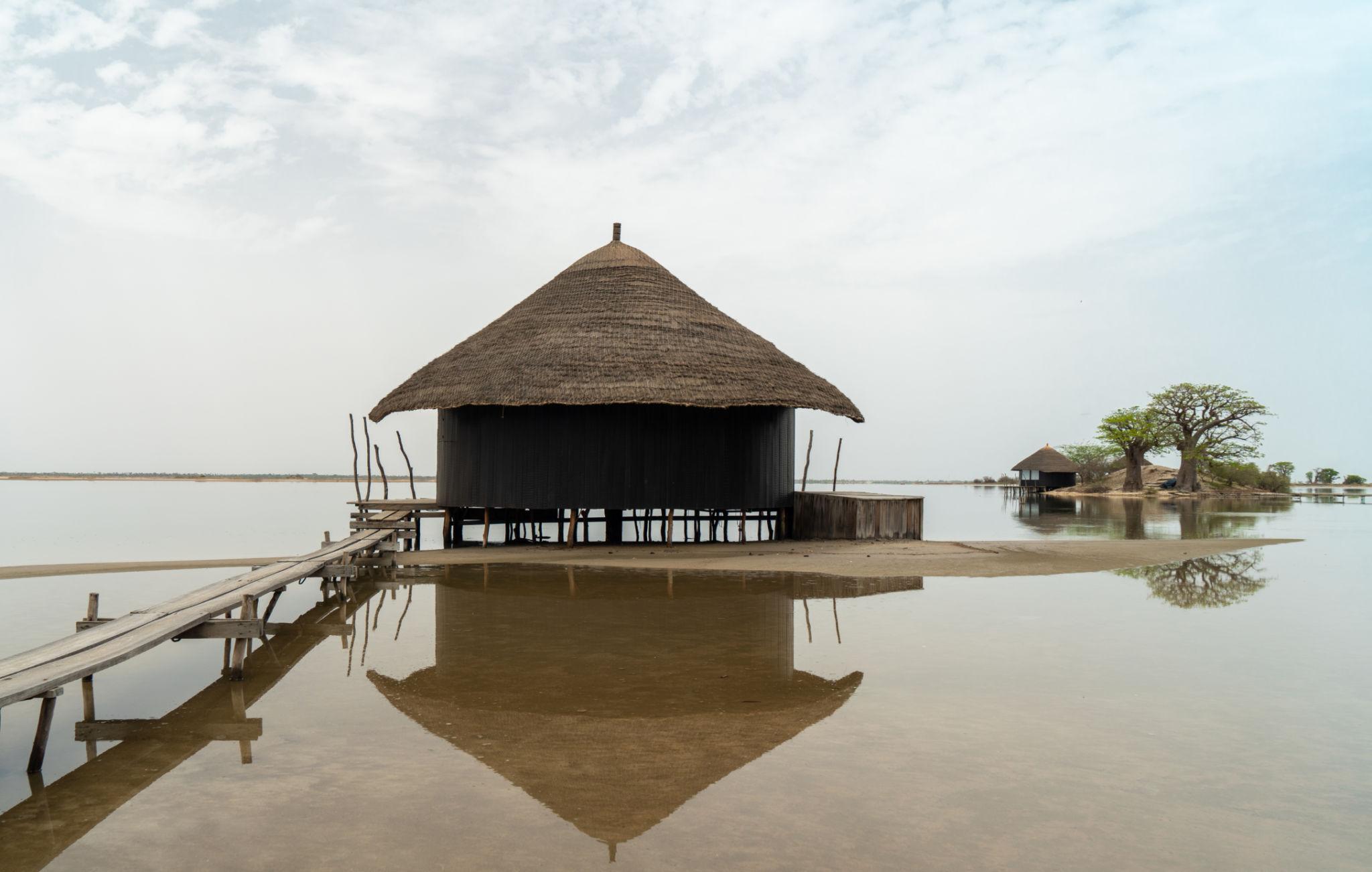 🇸🇳 🌳 Casamance · Sine-Saloum Delta · Wildlife Safari | Senegal | Daylite Digital