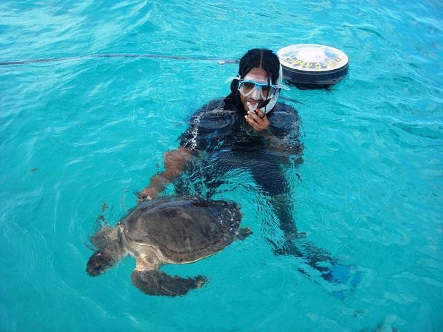 🇸🇨 🐢 Seychelles Nature & Marine Safari — Daylite Digital