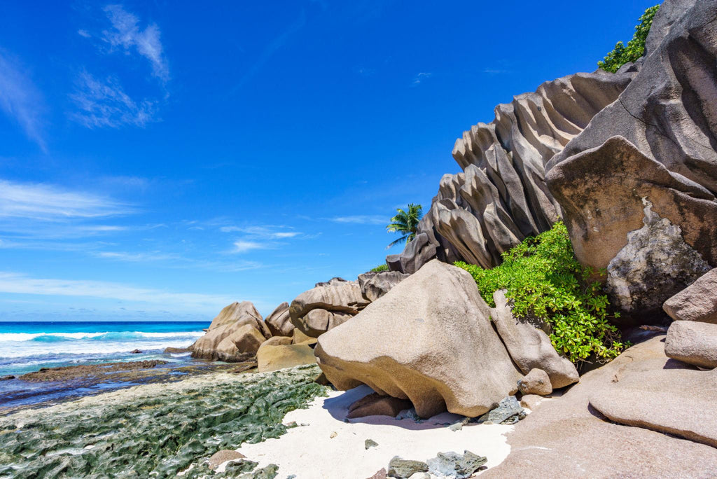 🇸🇨 🌊 Seychelles Mahé · Praslin · La Digue Island Safari — Daylite Digital