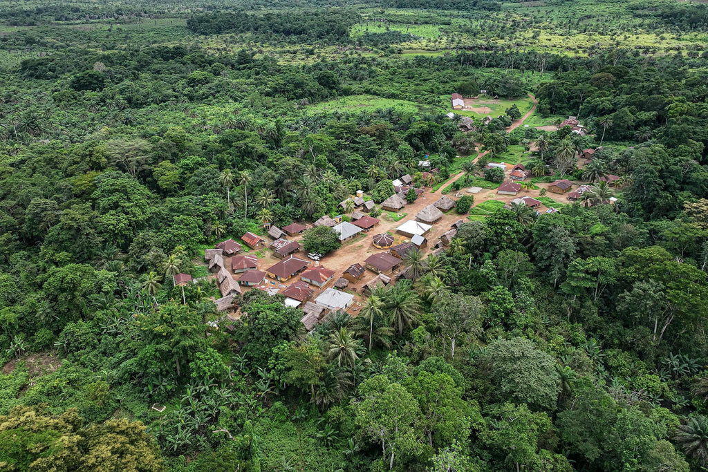 🇸🇱 🦍 Tiwai Island · Outamba-Kilimi · Rainforest Safari | Sierra Leone | Daylite Digital